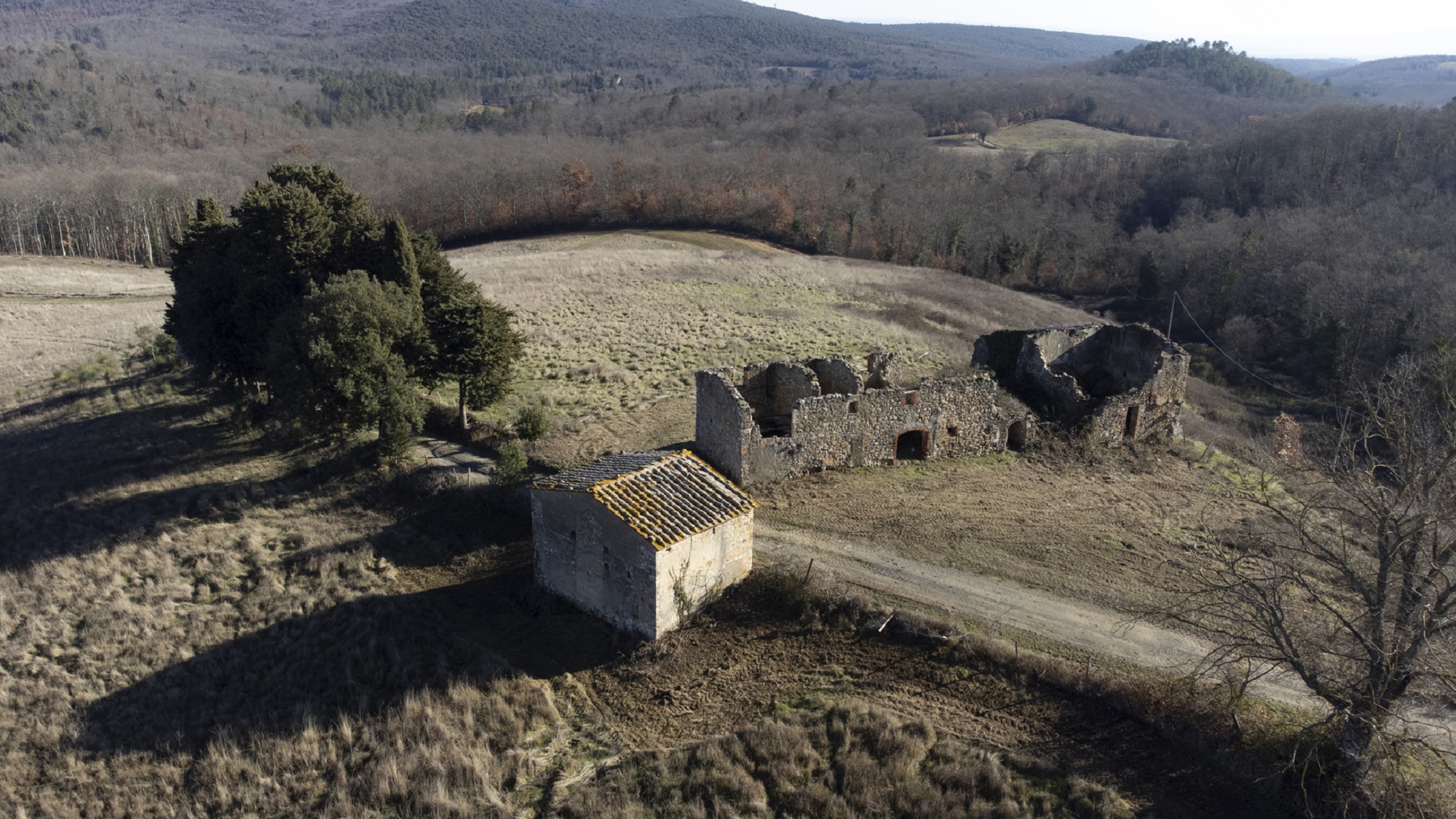 farm winery for sale san gimignano suburbs