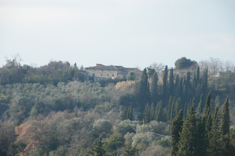 farm winery for sale certaldo san martino a maiano