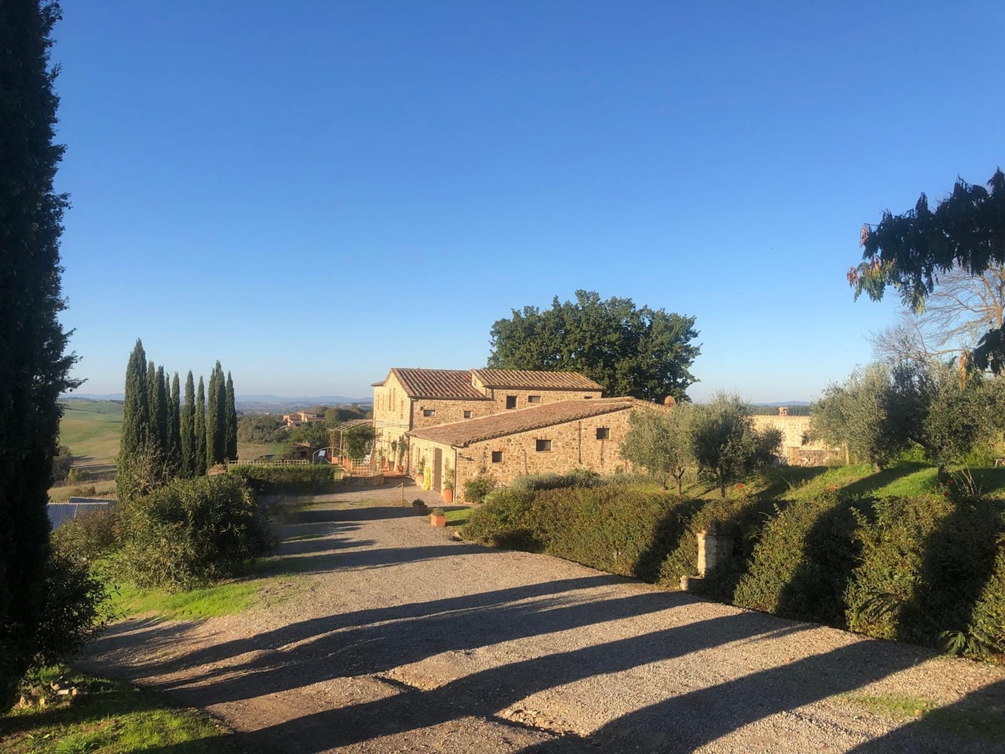 vendita-azienda-agricola-azienda-vinicola-montalcino-val-d-orcia